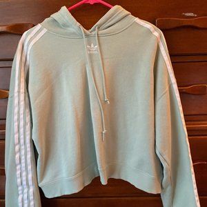 Vapour Green Cropped hoodie